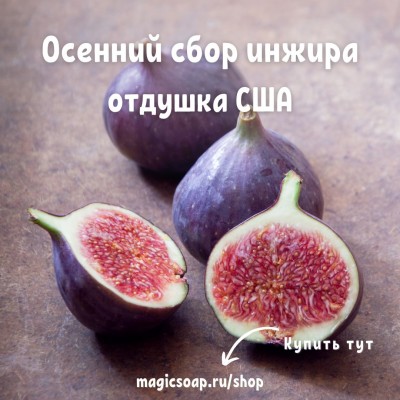 "Осенний сбор инжира" (BB Autumn Fig Harvest Fragrance Oil) - отдушка США