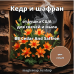 "Кедр и шафран" (BB Cedar And Saffron) - отдушка США