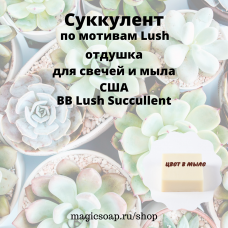 "Суккулент (по мотивам Lush)" (BB Lush Succullent Fragrance Oil) - отдушка США
