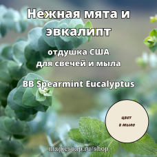 "Нежная мята и эвкалипт" (BB Spearmint Eucalyptus) - отдушка США