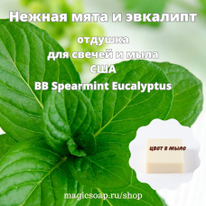 "Нежная мята и эвкалипт" (BB Spearmint Eucalyptus) - отдушка США