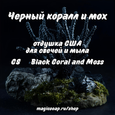 "Черный коралл и мох" (CS Black Coral and Moss) - отдушка США
