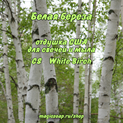 "Белая береза" (CS White Birch) - отдушка США