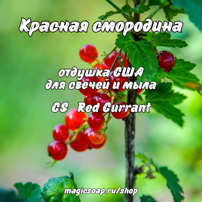 "Красная смородина" (CS Red Currant) - отдушка США