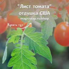 "Лист томата" (CS Tomato Leaf) - отдушка США