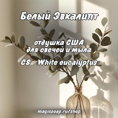 "Белый Эвкалипт" (CS White eucalyptus) - отдушка США