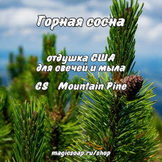 "Горная сосна" (CS Mountain Pine) - отдушка США "Горная сосна" (CS Mountain Pine) - отдушка США