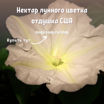 "Нектар лунного цветка" (CS  Moonflower Nectar) - отдушка США