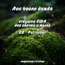 "Лес после дождя" (CS Petrichor) - отдушка США