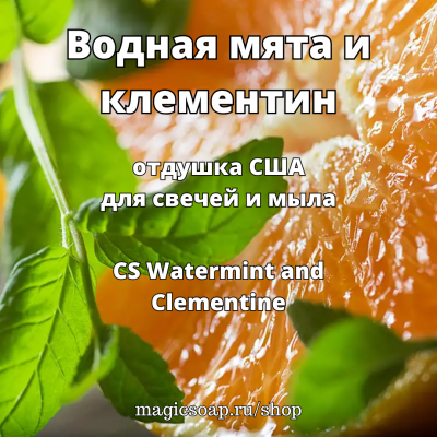 "Водная мята и клементин" (CS Watermint and Clementine) - отдушка США