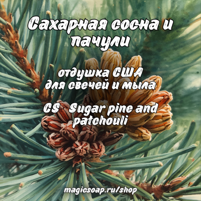 "Сахарная сосна и пачули" (CS Sugar pine and patchouli) - отдушка США
