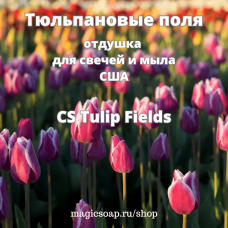 "Тюльпановые поля" (CS Tulip Fields) - отдушка США