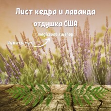 "Лист кедра и лаванда" (FC Cedar Leaf & Lavender) - отдушка США