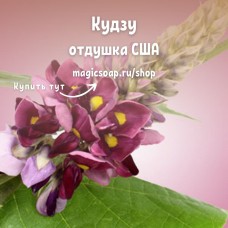 "Кудзу" - Kudzu NG отдушка США