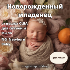 "Новорожденный младенец" - NG Newborn Baby - отдушка США 