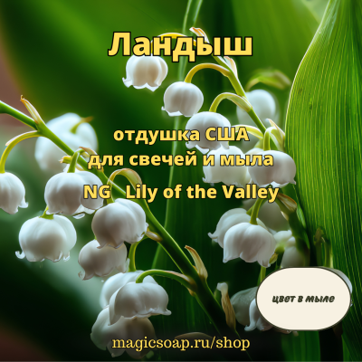 "Ландыш" - Lily of the Valley NG отдушка США