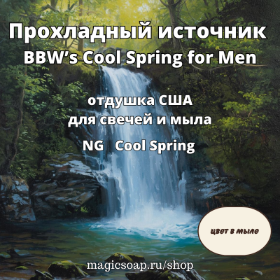 "Прохладный источник (BBW’s Cool Spring for Men)" - Cool Spring NG отдушка США