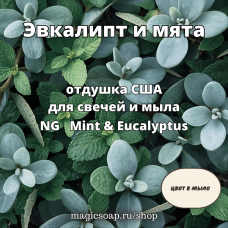"Эвкалипт и мята" - NG отдушка США