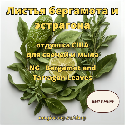"Листья бергамота и эстрагона" - NG отдушка США