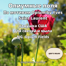 "Опиумные поля" По мотивам Opium by Yves Saint Laurent - Opium Fields NG отдушка США