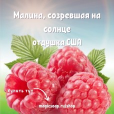 "Малина, созревшая на солнце" - Sun Ripened Raspberry NG отдушка США