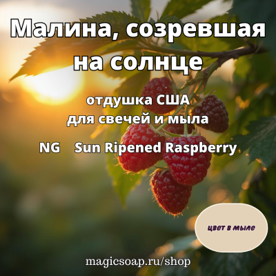 "Малина, созревшая на солнце" - NG отдушка США