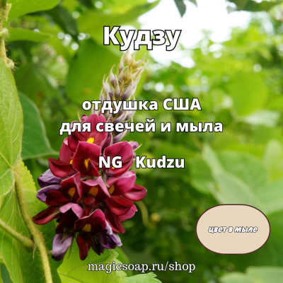 "Кудзу" - NG отдушка США