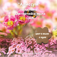 "Алиссум" (Alyssum) - NG отдушка США