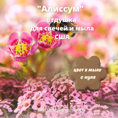  "Алиссум" (Alyssum) - NG отдушка США