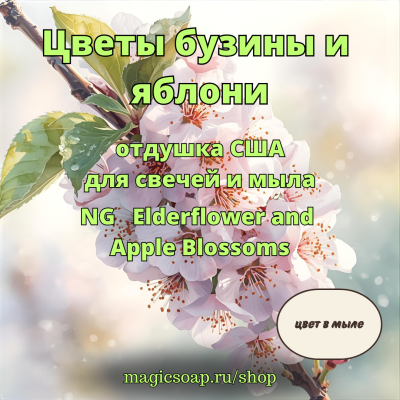  "Цветы бузины и яблони" (Elderflower and Apple Blossoms) - NG отдушка США