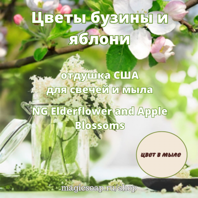  "Цветы бузины и яблони" (Elderflower and Apple Blossoms) - NG отдушка США