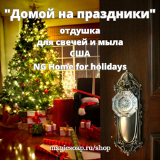 "Домой на праздники" (NG Home for holidays Fragrance Oil) - отдушка США