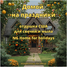 "Домой на праздники" (NG Home for holidays) - отдушка США