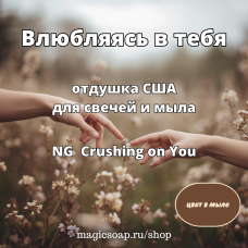 "Влюбляясь в тебя" - NG Crushing on You отдушка США 