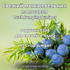 "Свежий можжевельник" (по мотивам Lush Jumping Juniper), (NS Crisp Juniper) - отдушка США