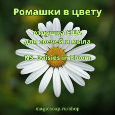 "Ромашки в цвету" (NS Daisies in Bloom) - отдушка США