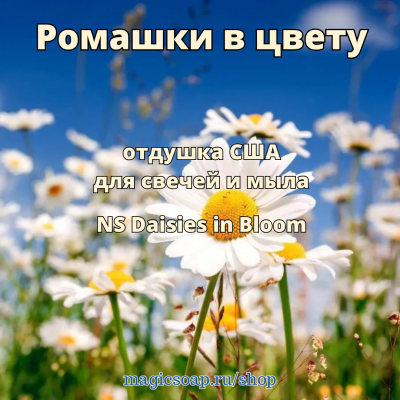 "Ромашки в цвету" (NS Daisies in Bloom) - отдушка США
