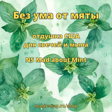 "Без ума от мяты" (NS Mad about Mint) - отдушка США