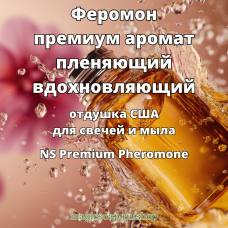 "Феромон, премиум аромат, пленяющий и вдохновляющий" (NS Premium Pheromone) - отдушка США