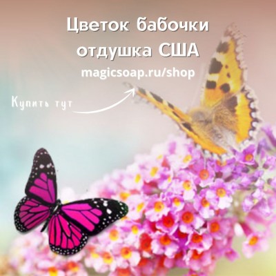 "Цветок бабочки" ( по мотивам Bath and BodyWorks Butterfly Flower) - NG отдушка США