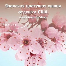 "Японская цветущая вишня" (По мотивам: Bath and BodyWorks Japanese Cherry Blossom) - NG отдушка США