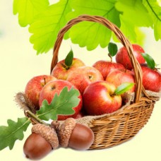 "Яблоки и дуб"- NG Apples and Oak - отдушка США 