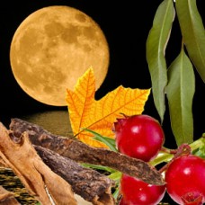 "Урожайная (полная) луна (Harvest Moon)" - NG отдушка США