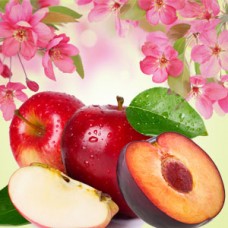 "Лаванда и яблоко"- NG Lavender Apple отдушка США 