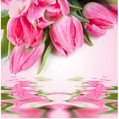 "Тюльпаны" (По мотивам: Yankee’s Tulips) - Tulip NG отдушка США 