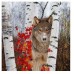 "Зимний лес" - NG Cracklin Birch отдушка США