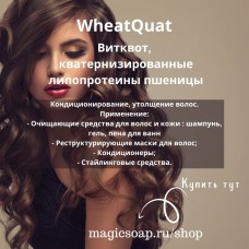 WheatQuat (Витквот, кватернизированные липопротеины пшеницы)