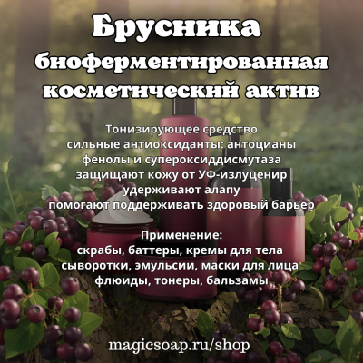 Брусника биоферментированная - актив