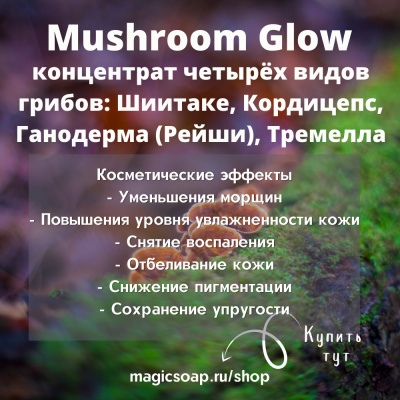 Mushroom Glow - концентрат грибов ферментированный (кордицепс китайский, шиитаки, рейши и ледяной гриб)