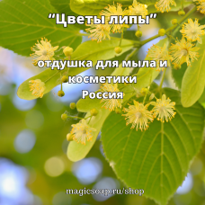 "Цветы липы" - отдушка для мыла и косметики